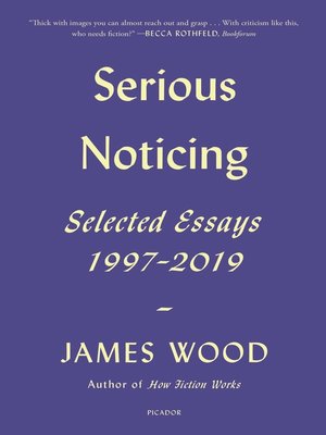 cover image of Serious Noticing
